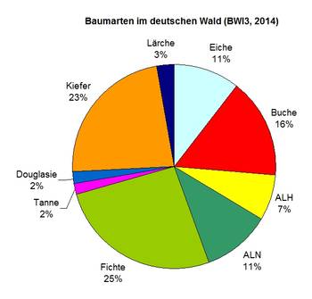 Baumartenverteilung in Deutschland